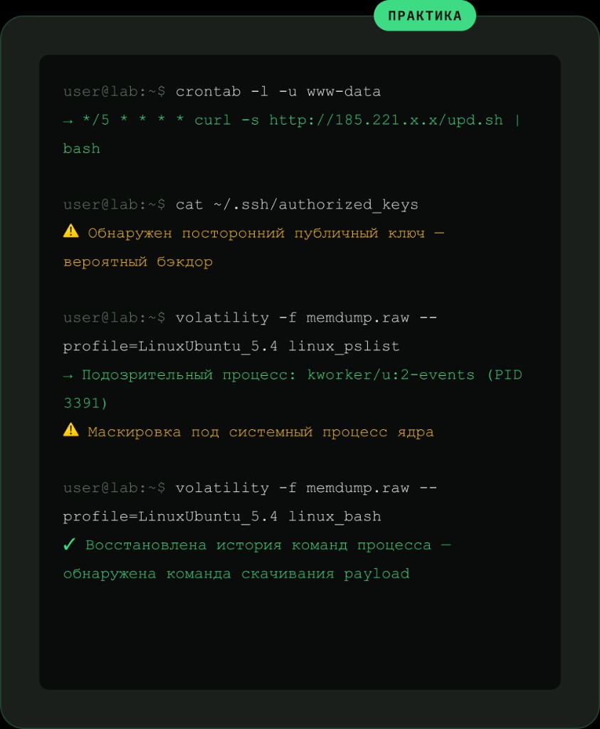 Пример практики DFIR на виртуальной машине