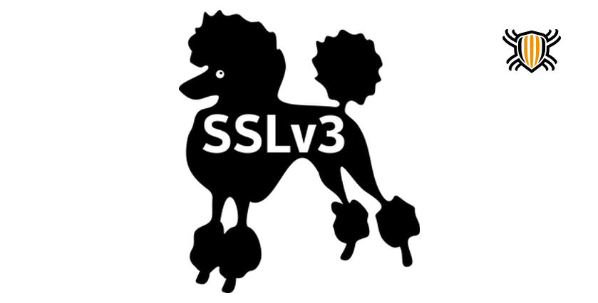 POODLE — это собака какая-то